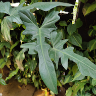 May Flowers Horticulture Installation 44